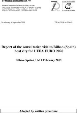 Report of the consultative visit to Bilbao (Spain) - Coe