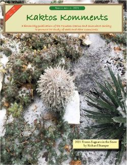 2021 Freeze-Saguaro in the Snow by Richard Stamper - www.hcsstex.org