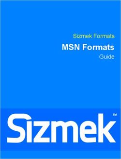 MSN Formats Sizmek Formats