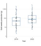 THE IMPACT OF COVID-19 ON GOLD AND DIAMOND ARTISANAL MINES IN WESTERN CENTRAL AFRICAN REPUBLIC - IPIS insights