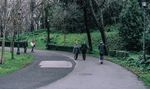 NATURVATION - URBAN NATURE-BASED SOLUTIONS AND THE COVID-19 PANDEMIC: PERSPECTIVES, LESSONS AND OPPORTUNITIES FROM NEWCASTLE-UPON-TYNE, UK