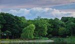 NATURVATION - URBAN NATURE-BASED SOLUTIONS AND THE COVID-19 PANDEMIC: PERSPECTIVES, LESSONS AND OPPORTUNITIES FROM NEWCASTLE-UPON-TYNE, UK