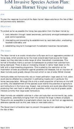 IOM INVASIVE SPECIES ACTION PLAN: ASIAN HORNET VESPA VELUTINA - ISLE OF MAN GOVERNMENT
