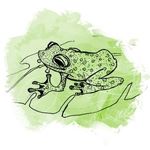 A Guidebook for TED-Ed Club Facilitators & Members