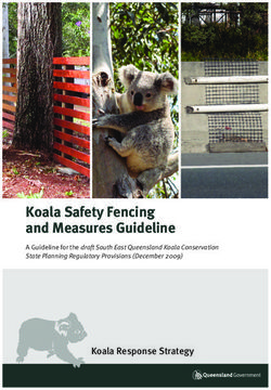 Koala Safety Fencing and Measures Guideline - Koala Response Strategy A Guideline for the draft South East Queensland Koala Conservation State ...