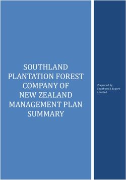 SOUTHLAND PLANTATION FOREST COMPANY OF NEW ZEALAND MANAGEMENT PLAN SUMMARY - Prepared by Southwood Export Limited