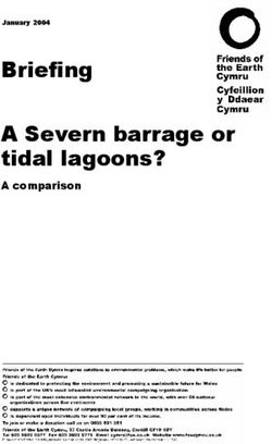 Briefing A Severn barrage or tidal lagoons? - A comparison - January 2004