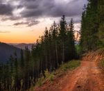 Forest Management Plan & Sustainability Report 2019/20 - HVP ...