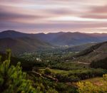 Forest Management Plan & Sustainability Report 2019/20 - HVP ...