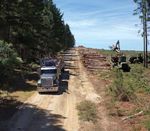 Forest Management Plan & Sustainability Report 2019/20 - HVP ...