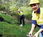 Forest Management Plan & Sustainability Report 2019/20 - HVP ...