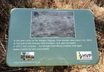 Forest Management Plan & Sustainability Report 2019/20 - HVP ...