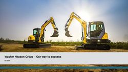 Wacker Neuson Group - Our way to success