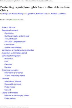 Protecting reputation rights from online defamation: China