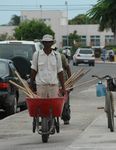 Country Cooperation Strategy - Belize 2017-2021 1 - World Health Organization