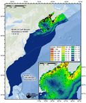 Desktop Study of the Overlap between Harbor Porpoise Habitat and Regions of SURTASS LFA Sonar Use