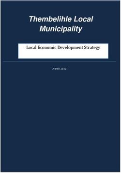Thembelihle Local Municipality - Local Economic Development Strategy March 2012