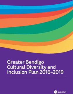 Greater Bendigo Cultural Diversity and Inclusion Plan 2016-2019
