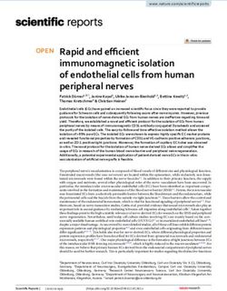 Rapid and efficient immunomagnetic isolation of endothelial cells from human peripheral nerves - Nature