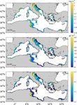 Pelagic primary production in the coastal Mediterranean Sea: variability, trends, and contribution to basin-scale budgets
