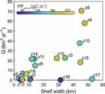 Pelagic primary production in the coastal Mediterranean Sea: variability, trends, and contribution to basin-scale budgets