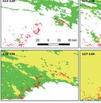 Prototype Spatio-temporal Predictive System of pest development of the codling moth, Cydia pomonella, in Kazakhstan