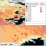 Prototype Spatio-temporal Predictive System of pest development of the codling moth, Cydia pomonella, in Kazakhstan