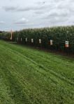 Maize Variety Portfolio 2021
