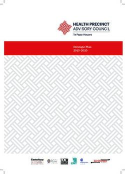 Strategic Plan 2015-2020 - Te Papa Hauora