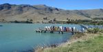 A snapshot of water quality from sampling freshwater invertebrates in Purau stream, Lyttelton Harbour/Whakaraupō - LEAP Research Report