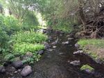 A snapshot of water quality from sampling freshwater invertebrates in Purau stream, Lyttelton Harbour/Whakaraupō - LEAP Research Report