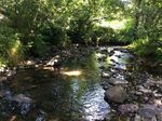 A snapshot of water quality from sampling freshwater invertebrates in Purau stream, Lyttelton Harbour/Whakaraupō - LEAP Research Report
