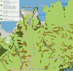A snapshot of water quality from sampling freshwater invertebrates in Purau stream, Lyttelton Harbour/Whakaraupō - LEAP Research Report