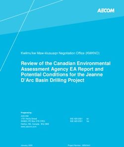 Review of the Canadian Environmental Assessment Agency EA Report and Potential Conditions for the Jeanne D'Arc Basin Drilling Project