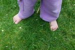 Our House Heritage Restoration Project 2017-2018 - happyhomes.nz - Parenting and ...