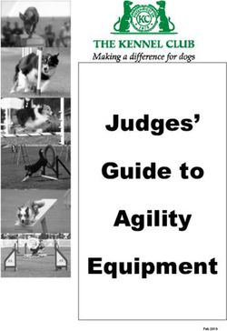 Judges' Guide to Agility Equipment - The Kennel Club