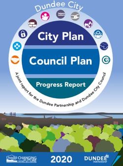City Plan Council Plan - n d ee City - Progress Report - Dundee City Council