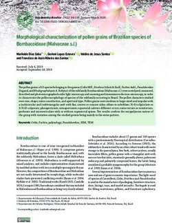 Morphological characterization of pollen grains of Brazilian species of Bombacoideae (Malvaceae s.l.)