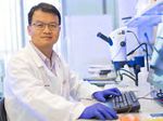 Wu Receives .5M NHLBI Grant to Study 'Spongy Heart' Disease, Treatments