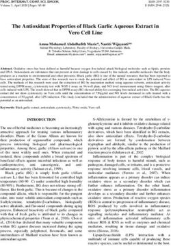 The Antioxidant Properties of Black Garlic Aqueous Extract in Vero Cell Line