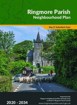 Ringmore Parish Neighbourhood Plan - Ringmore Parish Council