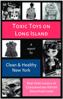 Toxic Toys on Long Island - Clean & Healthy New York