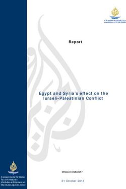 Egypt and Syria's effect on the Israeli-Palestinian Conflict - Report - Ghassan Shabaneh