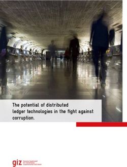 The potential of distributed ledger technologies in the fight against corruption - GIZ