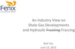 An Industry View on Shale Gas Developments and Hydraulic Fracking Fraccing - Bart Vos June 13, 2013