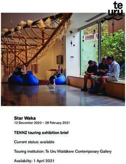 Star Waka 12 December 2020 - 28 February 2021 - TENNZ touring exhibition brief