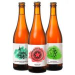 Profiling Some Central and Eastern European Craft Beer Breweries through their Branding Strategies - Bachelor Thesis for Obtaining the Degree ...