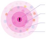 03CHAPTER THE THREE ZONES - National Healthcare Group