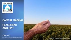 CAPITAL RAISING PLACEMENT AND SPP - SIMPLIFY, STRENGTHEN & STRATEGY