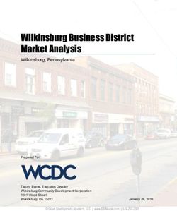 Wilkinsburg Business District Market Analysis